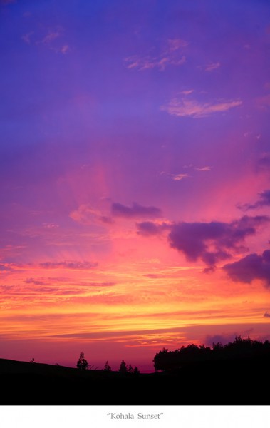  MG 4989 Kohala Sunset