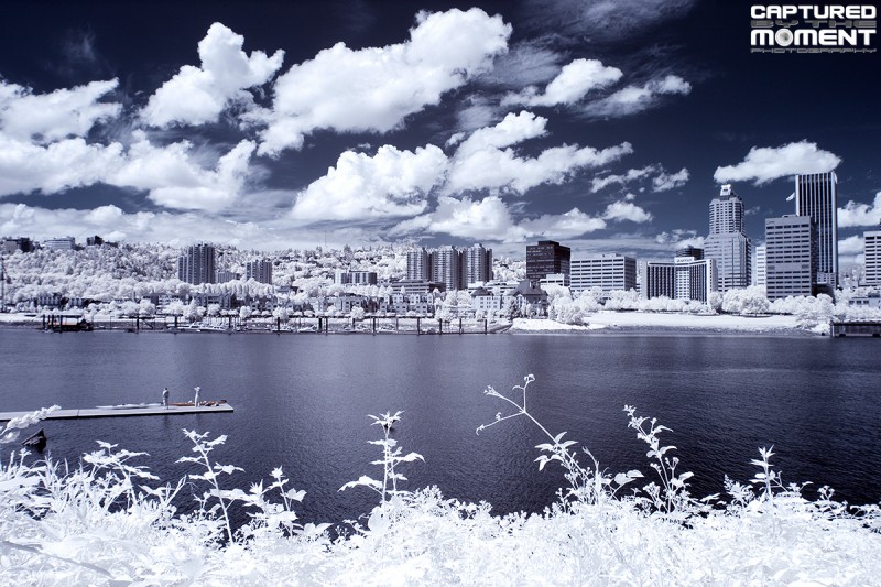 portland ir 5